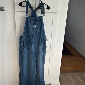 Wallflower Classic Blue Denim Overalls